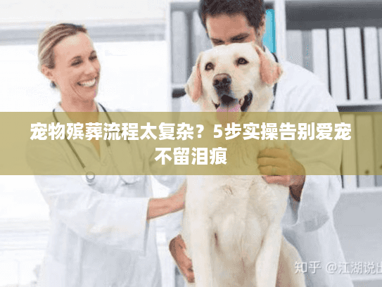 宠物殡葬流程太复杂?5步实操告别爱宠不留泪痕 宠物殡葬流程太复杂?5步实操告别爱宠不留泪痕