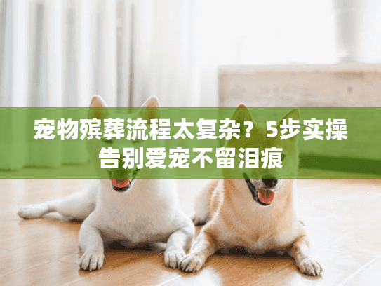 宠物殡葬流程太复杂?5步实操告别爱宠不留泪痕 宠物殡葬流程太复杂?5步实操告别爱宠不留泪痕