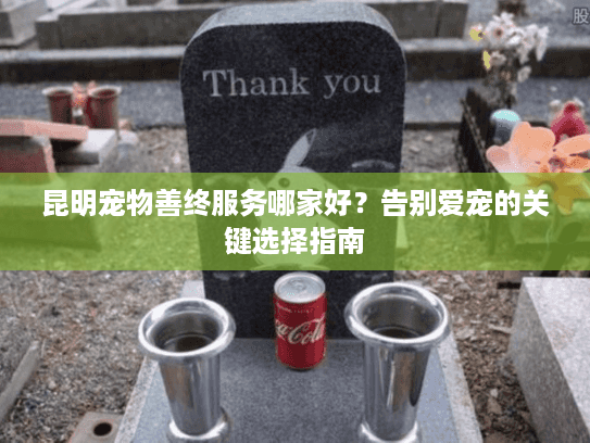 昆明宠物善终服务哪家好？告别爱宠的关键选择指南