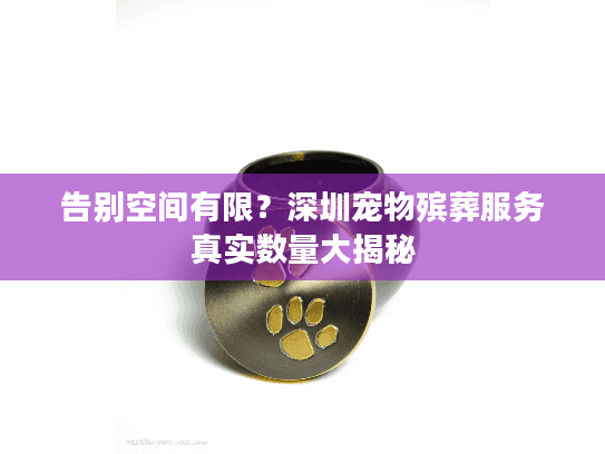 告别空间有限？深圳宠物殡葬服务真实数量大揭秘