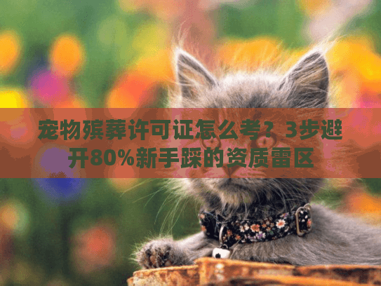 宠物殡葬许可证怎么考?3步避开80%新手踩的资质雷区 宠物殡葬许可证怎么考?3步避开80%新手踩的资质雷区