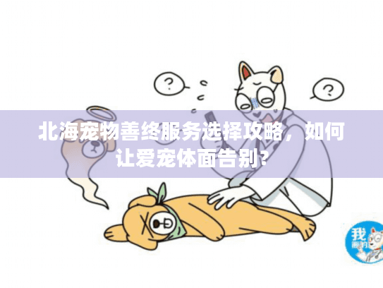 北海宠物善终服务选择攻略，如何让爱宠体面告别？