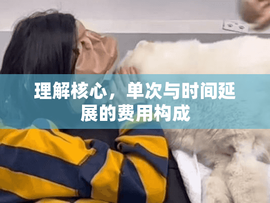 理解核心，单次与时间延展的费用构成