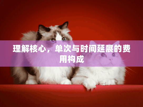 理解核心，单次与时间延展的费用构成