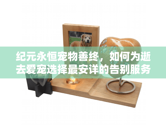 纪元永恒宠物善终，如何为逝去爱宠选择最安详的告别服务？