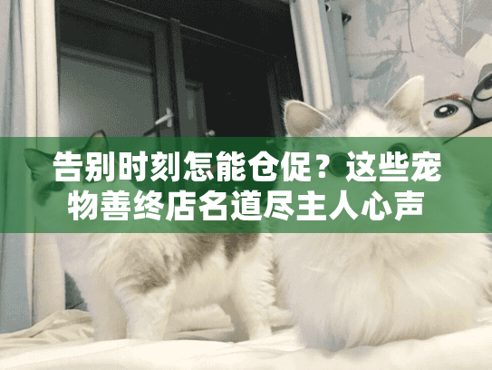 告别时刻怎能仓促？这些宠物善终店名道尽主人心声