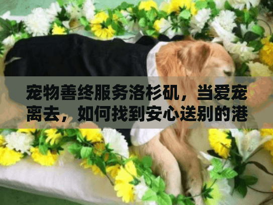 宠物善终服务洛杉矶，当爱宠离去，如何找到安心送别的港湾？