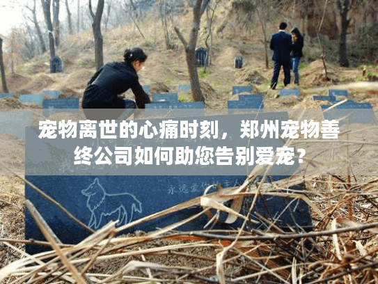 宠物离世的心痛时刻，郑州宠物善终公司如何助您告别爱宠？