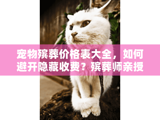 宠物殡葬价格表大全，如何避开隐藏收费？殡葬师亲授省钱心法