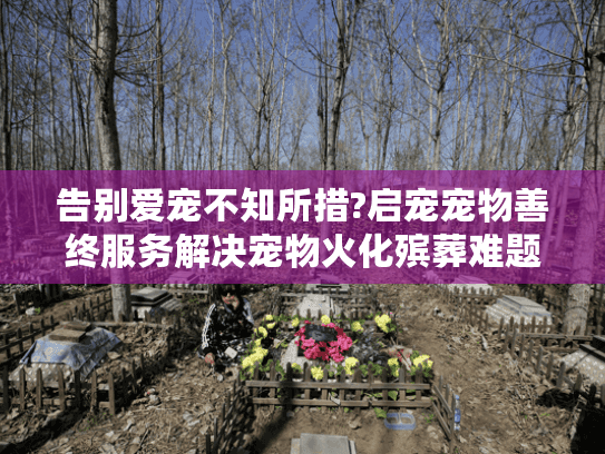 告别爱宠不知所措?启宠宠物善终服务解决宠物火化殡葬难题