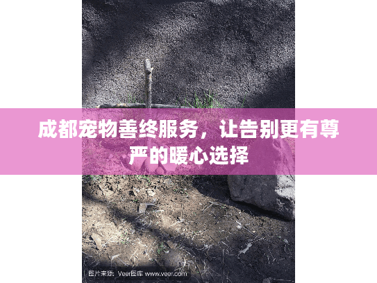 成都宠物善终服务，让告别更有尊严的暖心选择