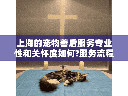 上海的宠物善后服务专业性和关怀度如何?服务流程全解析