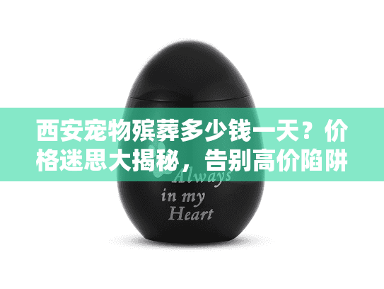 西安宠物殡葬多少钱一天？价格迷思大揭秘，告别高价陷阱！