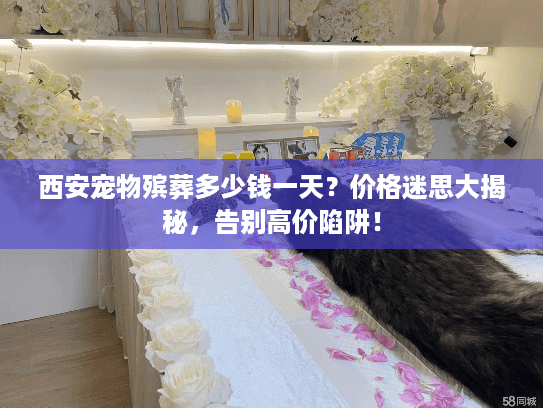 西安宠物殡葬多少钱一天？价格迷思大揭秘，告别高价陷阱！