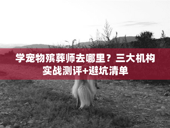 学宠物殡葬师去哪里？三大机构实战测评+避坑清单