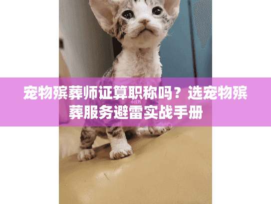 宠物殡葬师证算职称吗?选宠物殡葬服务避雷实战手册 宠物殡葬师证算职称吗?选宠物殡葬服务避雷实战手册
