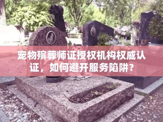 宠物殡葬师证授权机构权威认证，如何避开服务陷阱？