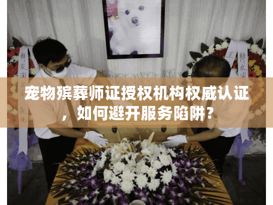 宠物殡葬师证授权机构权威认证，如何避开服务陷阱？