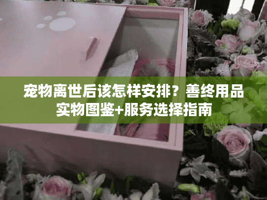 宠物离世后该怎样安排？善终用品实物图鉴+服务选择指南