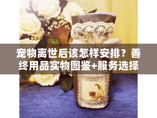 宠物离世后该怎样安排？善终用品实物图鉴+服务选择指南