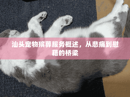 汕头宠物殡葬服务概述，从悲痛到慰藉的桥梁