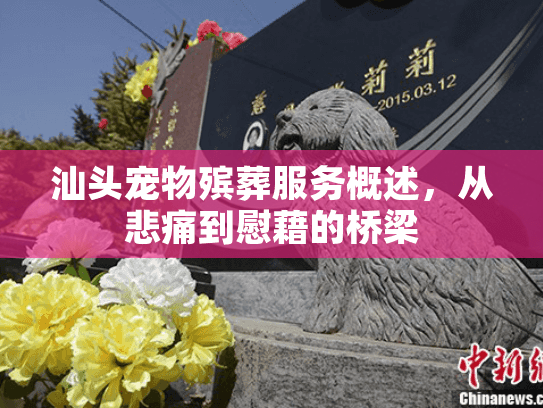 汕头宠物殡葬服务概述，从悲痛到慰藉的桥梁