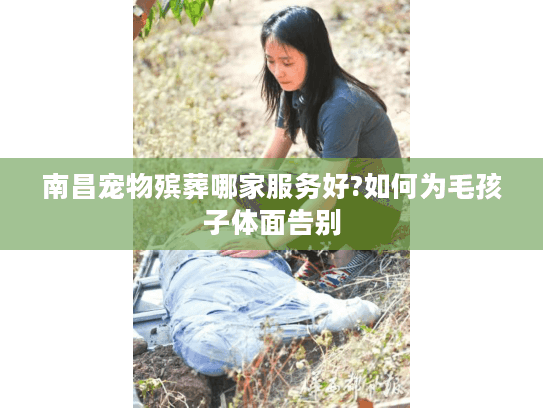 南昌宠物殡葬哪家服务好?如何为毛孩子体面告别