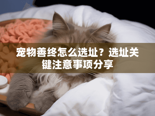 宠物善终怎么选址？选址关键注意事项分享