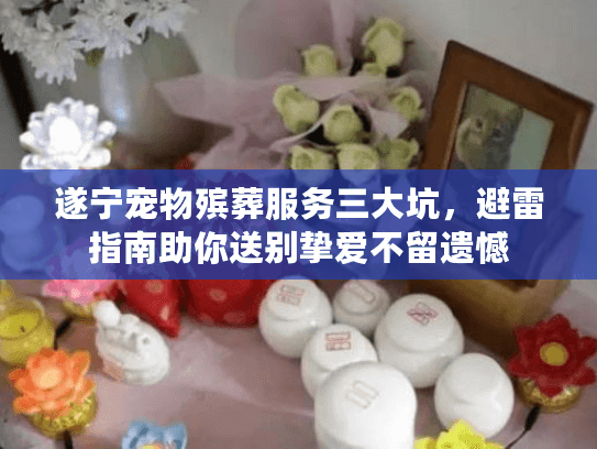 遂宁宠物殡葬服务三大坑，避雷指南助你送别挚爱不留遗憾