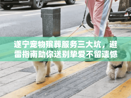 遂宁宠物殡葬服务三大坑，避雷指南助你送别挚爱不留遗憾