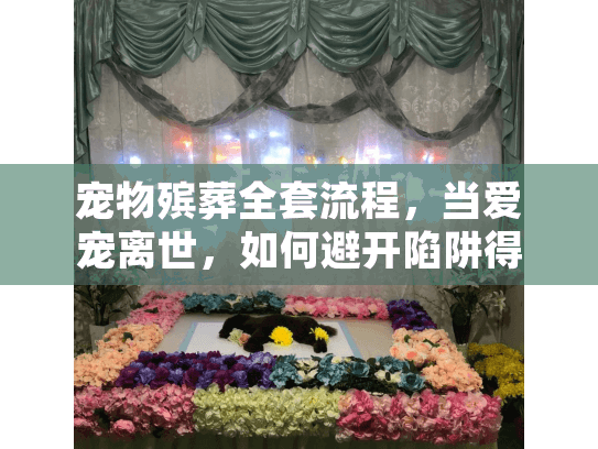 宠物殡葬全套流程，当爱宠离世，如何避开陷阱得体告别？
