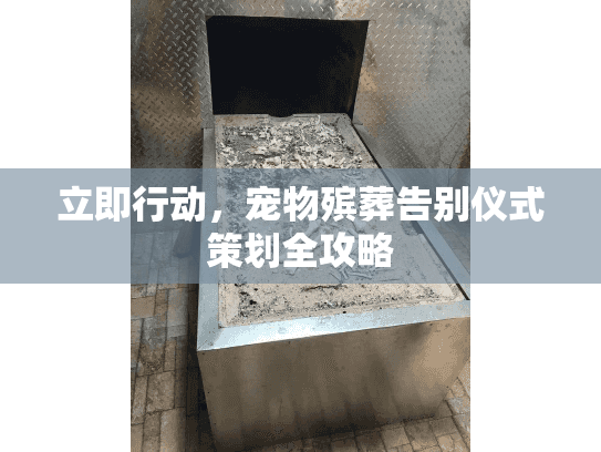 立即行动，宠物殡葬告别仪式策划全攻略