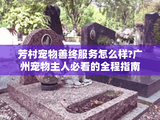 芳村宠物善终服务怎么样?广州宠物主人必看的全程指南
