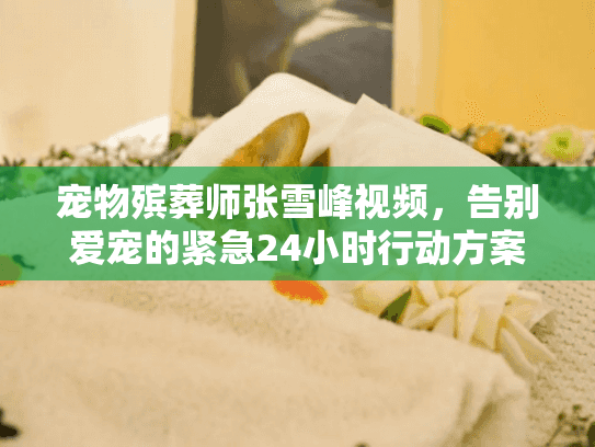 宠物殡葬师张雪峰视频，告别爱宠的紧急24小时行动方案