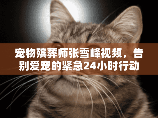 宠物殡葬师张雪峰视频，告别爱宠的紧急24小时行动方案