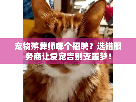 宠物殡葬师哪个招聘？选错服务商让爱宠告别变噩梦！