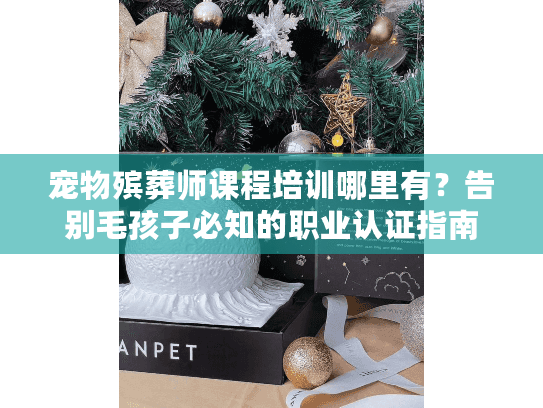 宠物殡葬师课程培训哪里有？告别毛孩子必知的职业认证指南