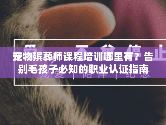 宠物殡葬师课程培训哪里有？告别毛孩子必知的职业认证指南