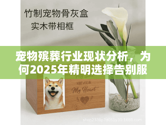 宠物殡葬行业现状分析，为何2025年精明选择告别服务避免后悔？
