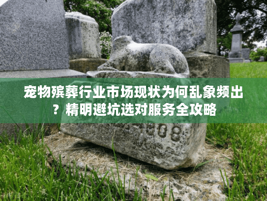 宠物殡葬行业市场现状为何乱象频出？精明避坑选对服务全攻略