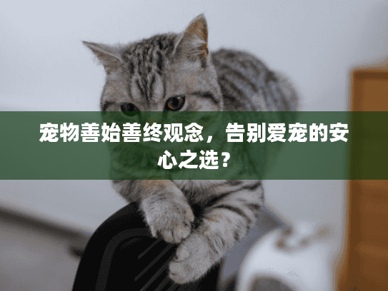 宠物善始善终观念，告别爱宠的安心之选？