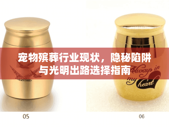 宠物殡葬行业现状，隐秘陷阱与光明出路选择指南