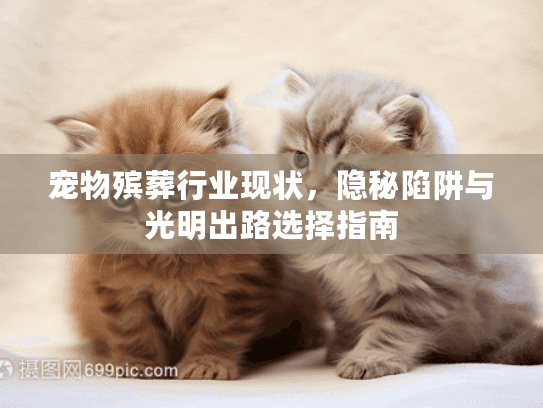 宠物殡葬行业现状，隐秘陷阱与光明出路选择指南