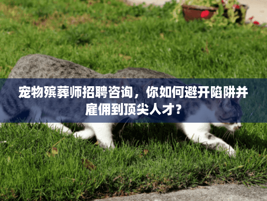 宠物殡葬师招聘咨询，你如何避开陷阱并雇佣到顶尖人才？