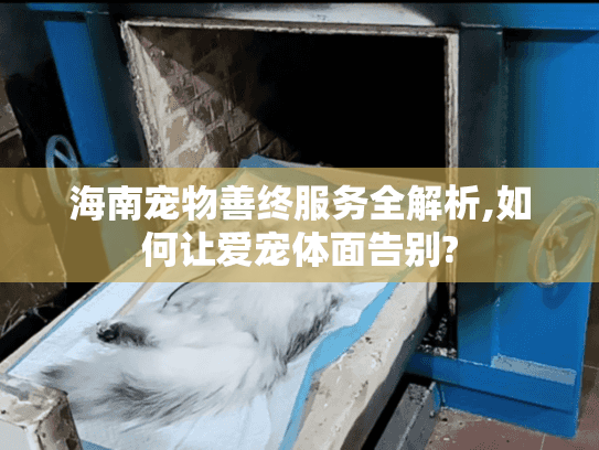 海南宠物善终服务全解析,如何让爱宠体面告别?