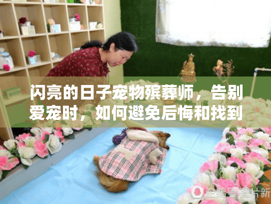 闪亮的日子宠物殡葬师，告别爱宠时，如何避免后悔和找到专属纪念？