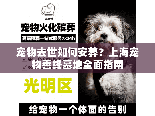 宠物去世如何安葬？上海宠物善终墓地全面指南