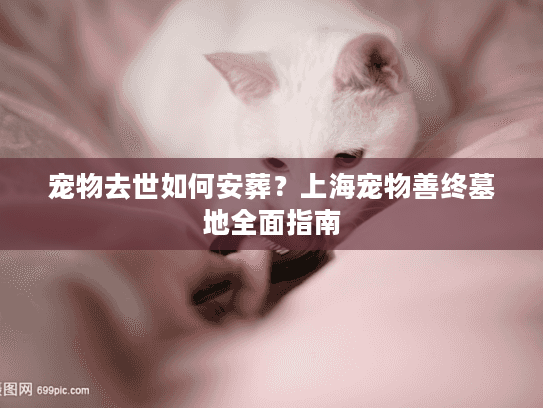 宠物去世如何安葬？上海宠物善终墓地全面指南