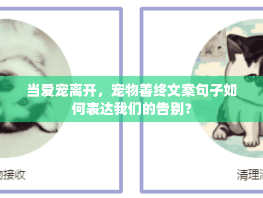 当爱宠离开，宠物善终文案句子如何表达我们的告别？