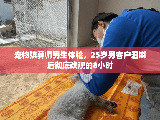宠物殡葬师男生体验，25岁男客户泪崩后彻底改观的8小时